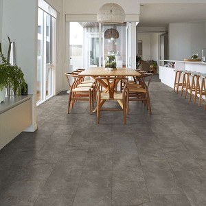 Paragon Tile Plus